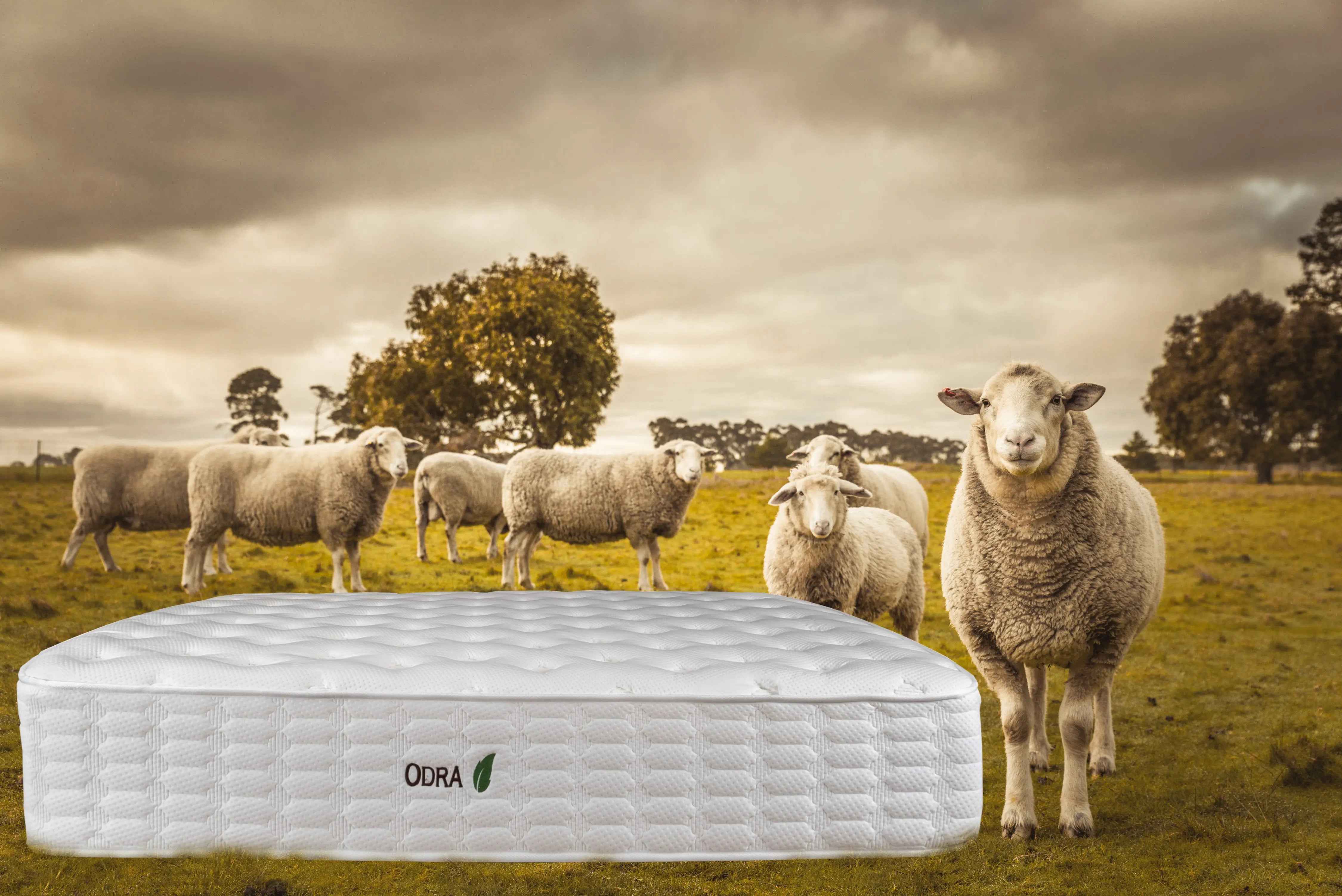 WIVANCO Materac - Odra Visco, 7 stref, NATURALNY