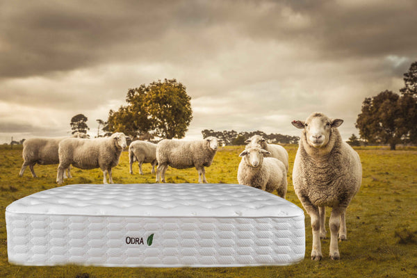 Mattresses